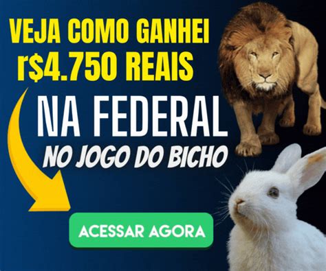 palpites kaledri|palpites jogo do bicho kaledri.